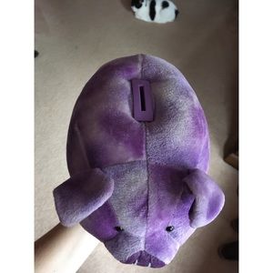 THE CUTEST PIGGY BANK